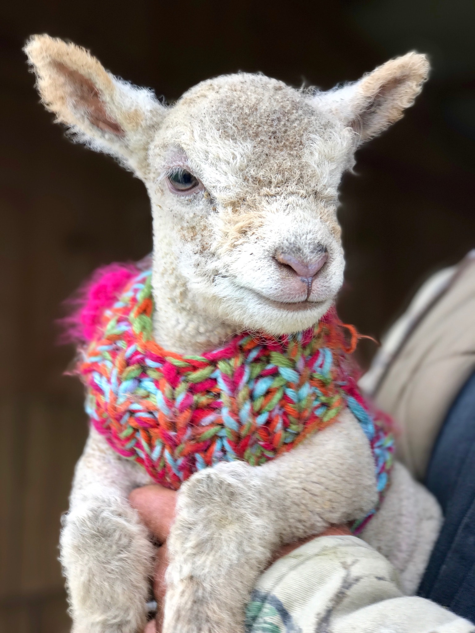 Livestock & Poultry Care